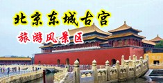 大鸡吧网在线中国北京-东城古宫旅游风景区